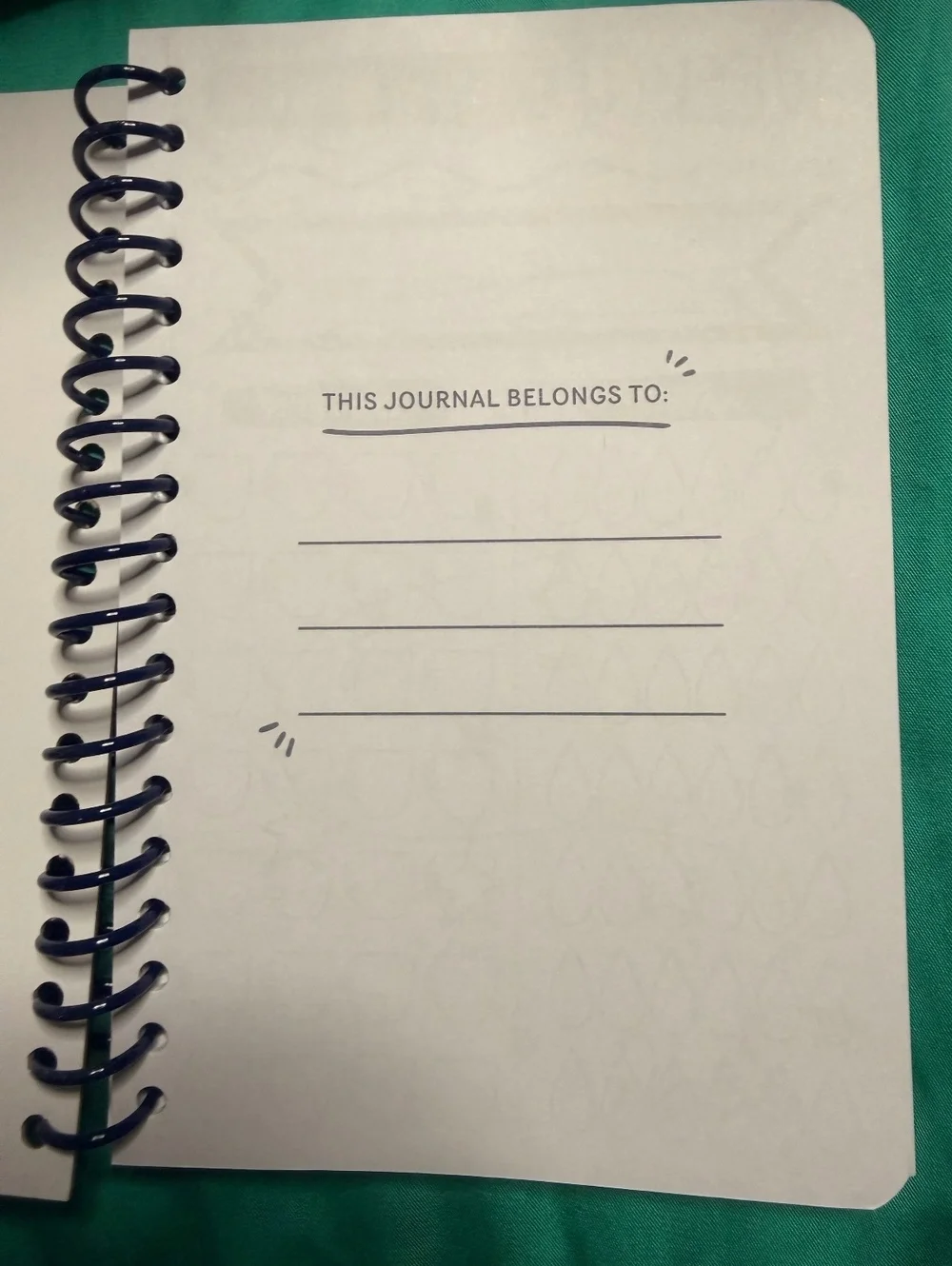 My Goals Spiral Bound Journal Notebook
